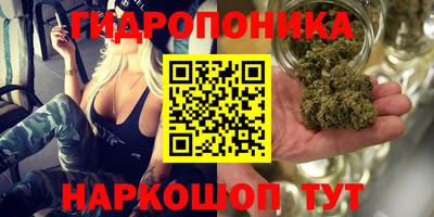 mdma Новодвинск