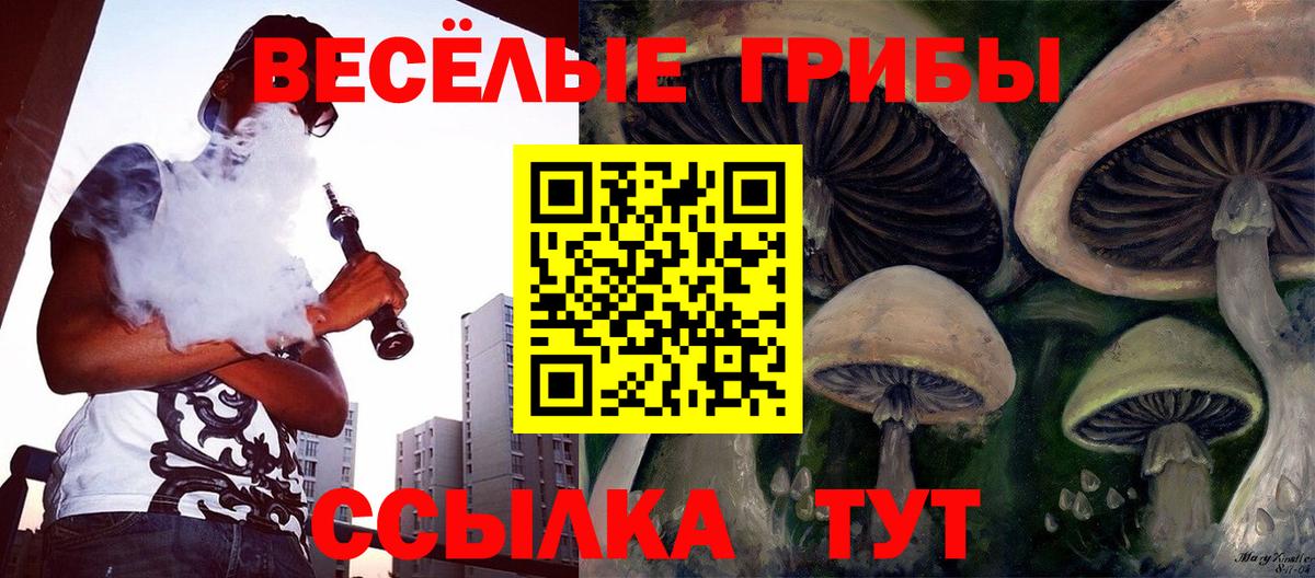 Галлюциногенные грибы Cubensis Среднеуральск
