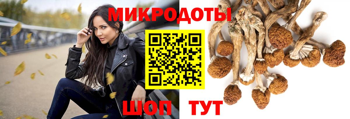 Псилоцибиновые грибы прущие грибы  Вход с VPN  Среднеуральск 